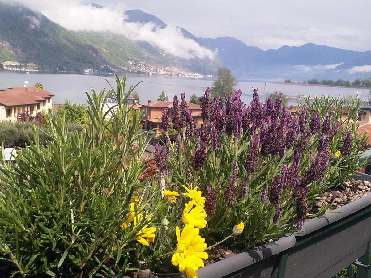 Lake View Terrace Paratico Buitenkant foto